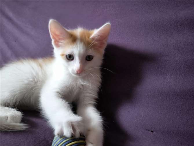 Krümel. Foto: privat