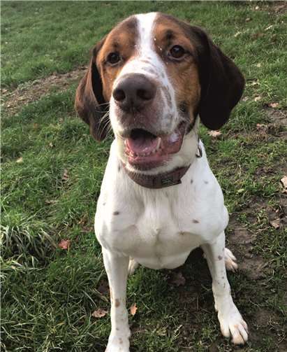 Krümmel sucht ein neues Zuhause.  Privat