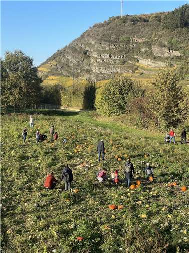 Kürbisfestbesucher bei der Selbsternte vorm Stuxberg.Quelle: Rhein Pflanzlich