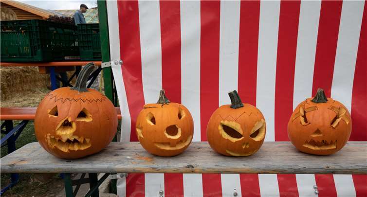 Kürbisse durften natürlich auch nicht fehlen.