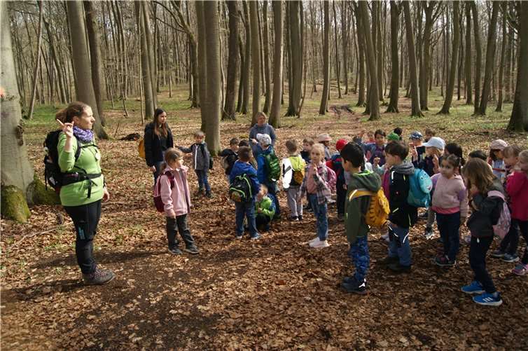 Kürzlich stand für die Schulkinder der Kita Arche Noah der zweite Teil des Waldprojekts an.  Foto: privat
