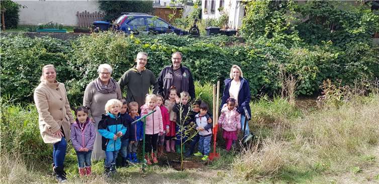 Kürzlich stiftete Marc Moseler, ein Vater aus der Bienengruppe dem Kindergarten drei Weiden. Foto: privat