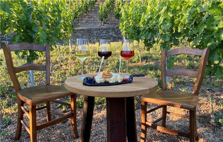 Kulinarischer Genuss in der Wingertslounge.Foto: Pauline Adams