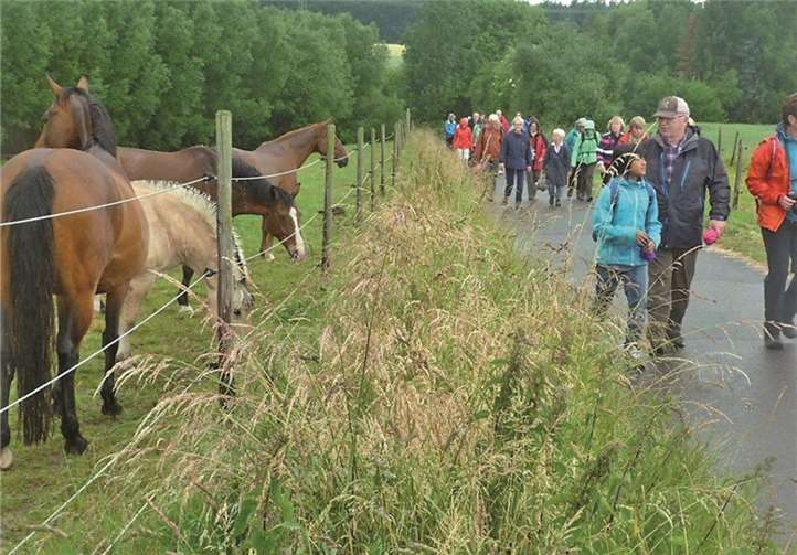 Kulturwanderer in ländlicher Idylle kurz vor Holzem.