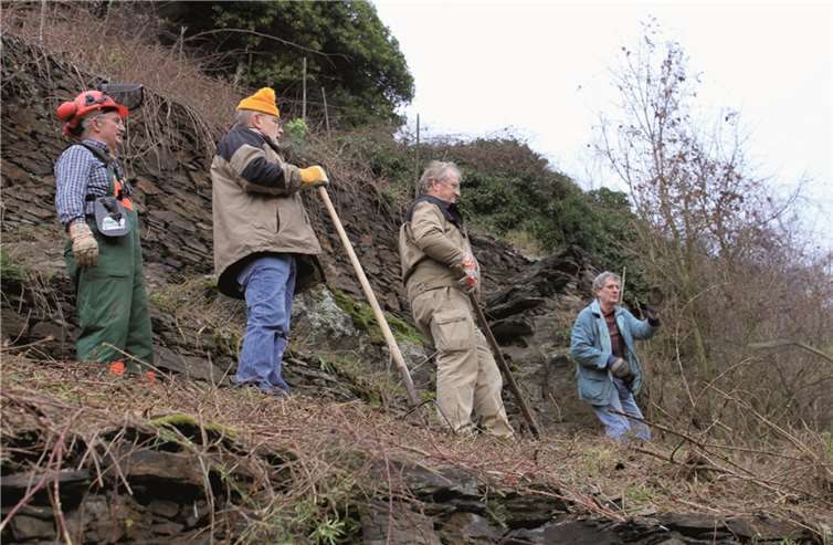 Kunstvoll errichtete Mauern und Wingertstreppen kommen nun wieder zum Vorschein.privat