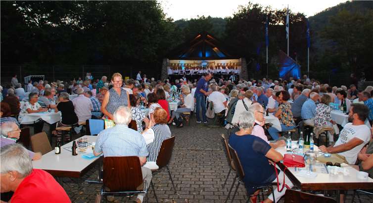 Kunstvolle Illuminationen begeisterten bei Einbruch der Dunkelheit. Fotos: Jürgen Sabel / MGV Moselgruß