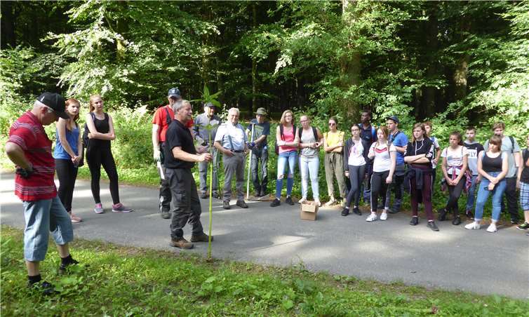Kurz vor den Sommerferien machten es sich die Schüler und Lehrkräfte von drei Klassen der Realschule plus Puderbach zu Aufgabe, durch die Bekämpfung des Indischen Springkrautes für mehr Biodiversität in unserer heimischen Fauna und Flora zu sorgen.Fotos: privat
