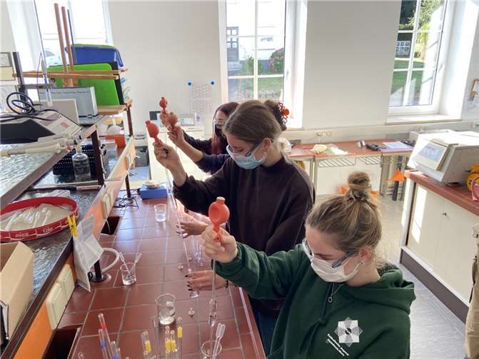 Labor: Untersuchung der entnommenen Proben.