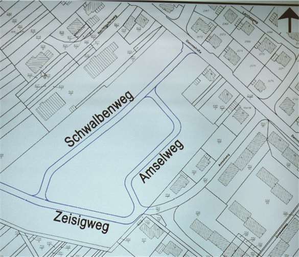 Lageplan Neubaugebiet „Dammstraße“ mit den neu benannten Straßen: Schwalbenweg, Zeisigweg und Amselweg.