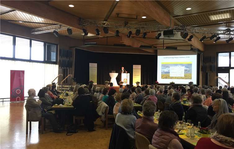 Landrat Dr. Alexander Saftig gehörte zu den Festrednern in der gut besetzten Vulkanhalle in Kruft.  privat