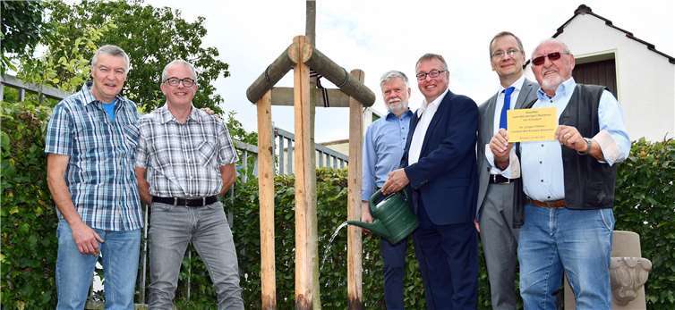 Landrat Dr. Jürgen Pföhler begießt den von ihm gestifteten Koisdorfer Zuwachs, einen Kugelahorn. Mit dabei: Vertreter des Stadtteils und Sinzigs Bürgermeister Andreas Geron (2. von rechts). Foto: Ralf Schumann