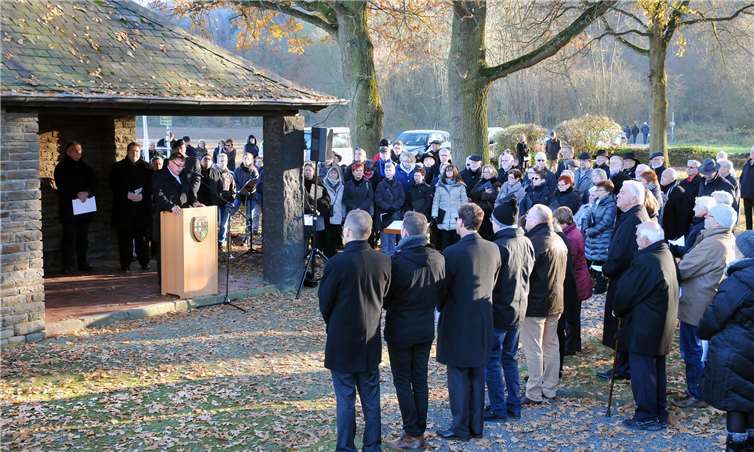 Landrat Dr. Jürgen Pföhler erinnerte an die Schrecken des 1. Weltkrieges.RASCH