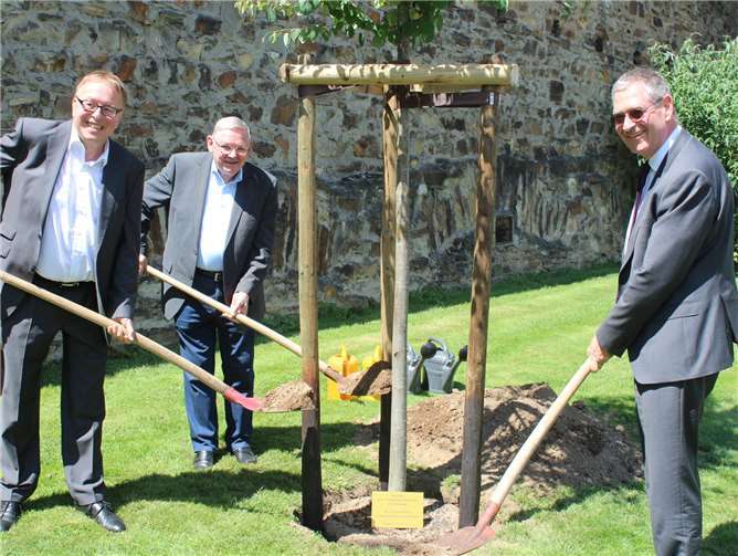 Landrat Dr. Jürgen Pföhler (v. l.), Rudi Frick und Peter Diewald legten gemeinsam Hand an, um das Jubiläumsgeschenk des Landrats in die Erde zu bringen. DU