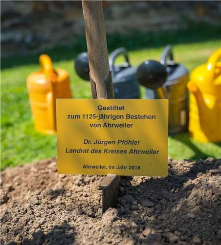 Landrat Pföhler stiftete den Baum.