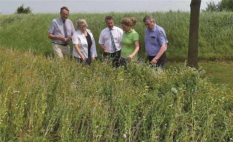 Landrat Rainer Kaul (stellvertretender Vorsitzender des Naturparks Rhein-Westerwald e. V.), Heidelore Momm (Bürgermeisterin Ortsgemeinde Anhausen), Hans-Werner Breihausen (Bürgermeister Verbandsgemeinde Rengsdorf), Dr. Friedericke Weber (Geschäftsführerin Naturpark Rhein-Westerwald) und Heinz-Otto Zantop (Erster Beigeordneter der Ortsgemeinde Anhausen) besichtigen eine der Bienenweiden in Anhausen (von links nach rechts).