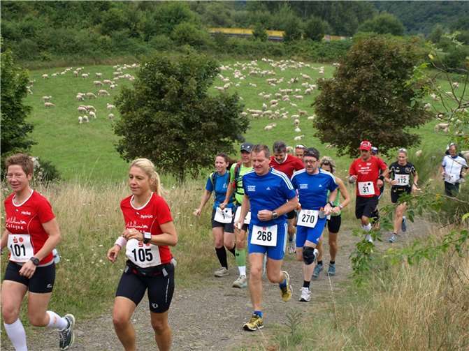 Landschaft laufend erleben, dort wo sich das Ahrtal von seiner schönsten, seiner wildesten Seite zeigt. Foto: SV Altenahr