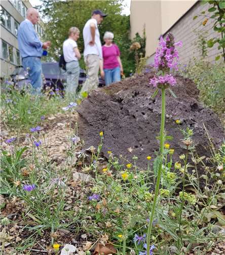 Landschaftsgärtnerin und Biologin Ulrike Aufderheide mit Besuchern vor dem Kalkschotterbeet im Naturnahen Schaugarten Berkum. Foto:Birte Kümpel