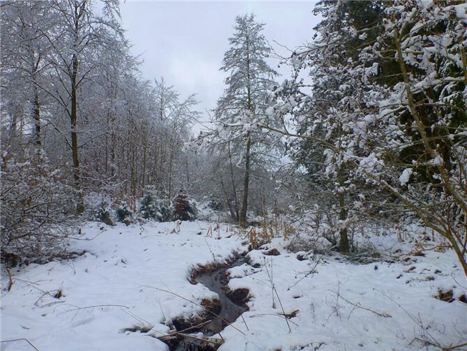 Landschaftsidylle im Winter.  Fotos: Winfried Sander