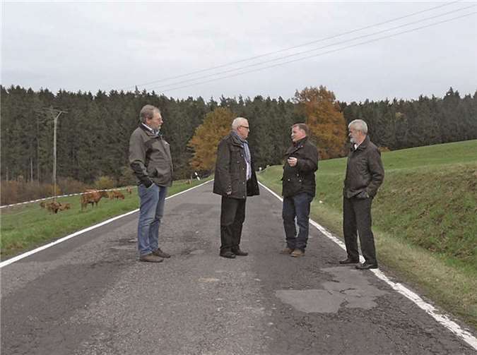 Landtagsabgeordneter Fredi Winter machte sich persönlich vor Ort ein Bild vom aktuell schlechten Zustand der K 135 in Seyen. privat