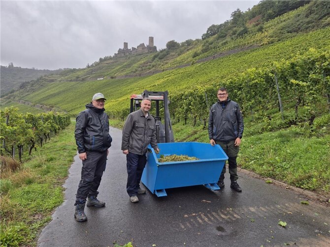 Landtagsabgeordneter Torsten Welling informierte sich vor Ort über die Weinlese.  Foto: privat