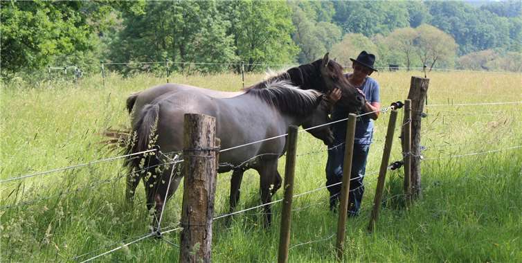Landwirtin Helga Höhler mit den Dülmener Pferden.Rhein-Sieg-Kreis