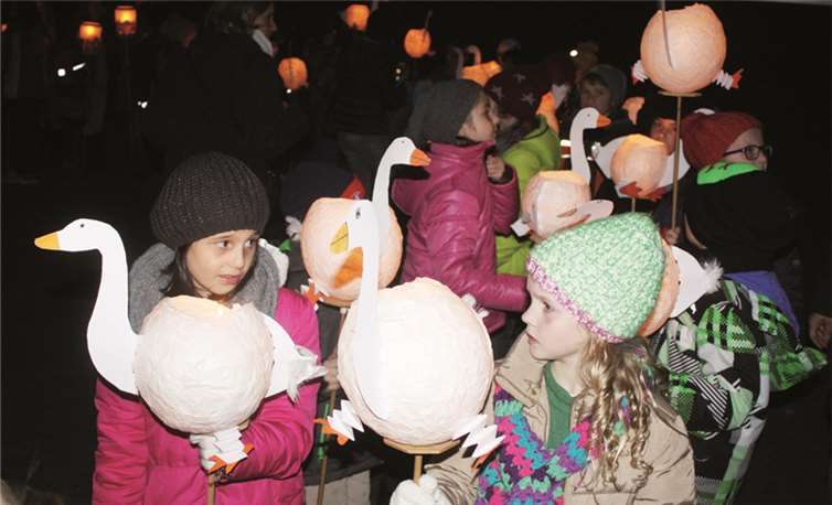 Langhalsige Gänse schauten über die Masse hinweg. DL