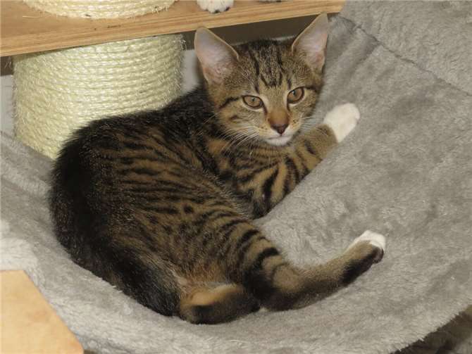 Langton. Fotos: privat