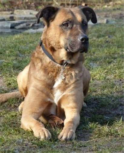 Lasco musste einige Schicksalsschläge hinnehmen.privat