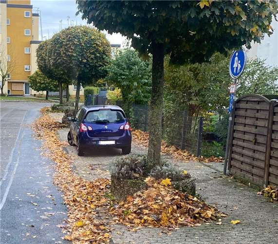 Laub von Gehwegen gehört nicht auf die Straße. Das behindert massiv die Touren der Straßenreinigung.Foto: Kai Poveleit/SBN