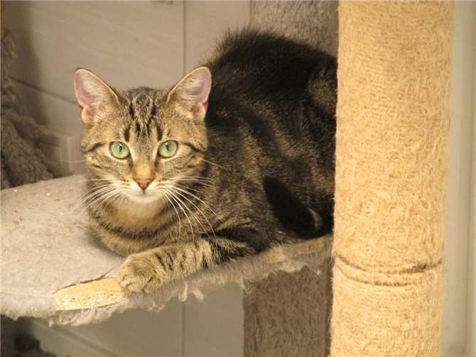 Lauren. Fotos: privat