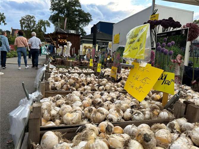 Laut Verordnung wird der Zwiebelsmarkt cannabisfreie Zone.  Foto: ROB