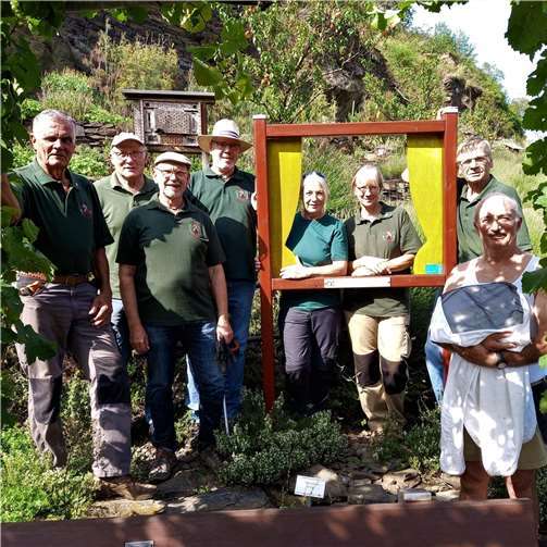 Lavendel im Weinberg: Wie die Lehmer Razejunge die Verbuschung verhindern und die Biodiversität fördern. Quelle:Lehmer Razejunge