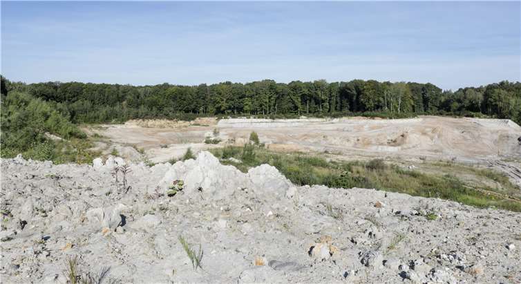 Lebensraum für seltene Arten und Buch derErdgeschichte zugleich ist die Kaolingrube am Rande von Wachtberg.