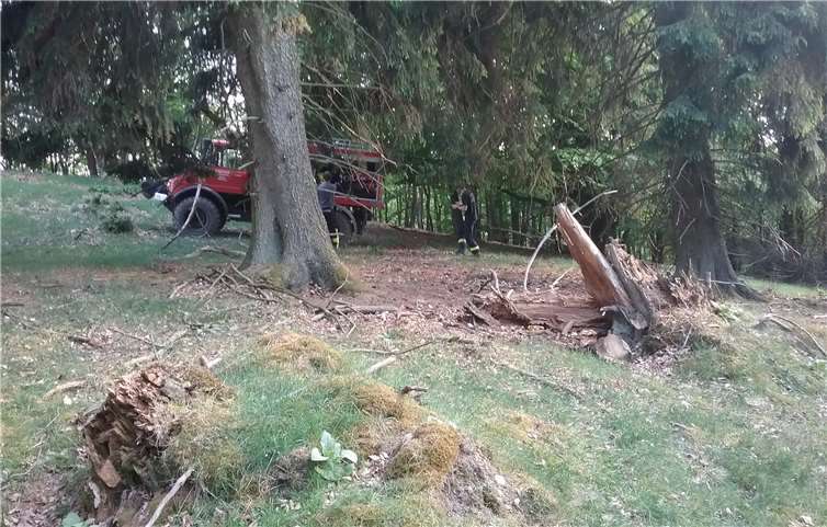 Lediglich das geländegängige Unimog-Tanklöschfahrzeug TLF 8/18 konnte in die Nähe der Einsatzstelle fahren. Feuerwehren der VG Adenau