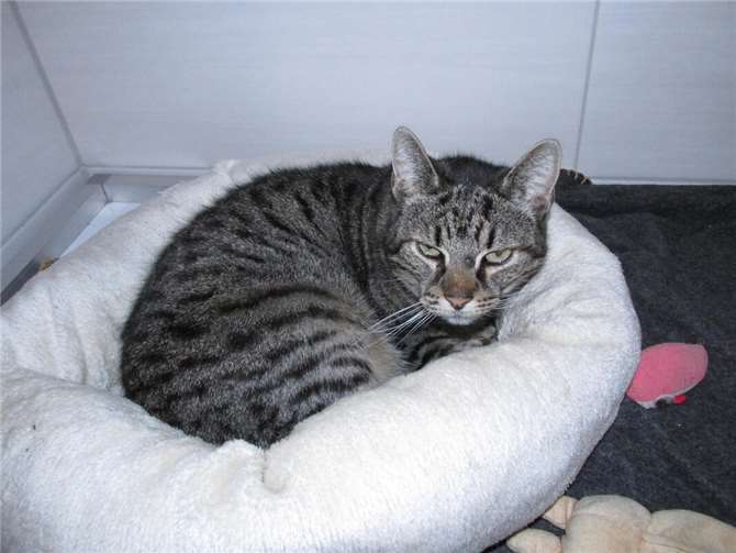 Leila.  Foto: privat