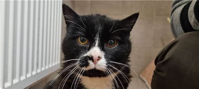 Leila. Fotos: privat