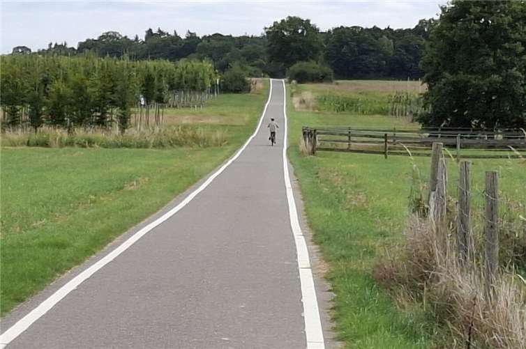 Leitstreifen auf einem Radweg in Rheinbach.Foto: ADFC-Wachtberg