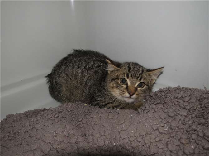 Lennon.Fotos: privat