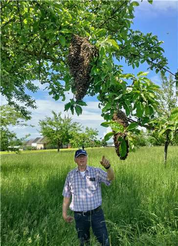 Leo Klöcker mit dem Bienenschwarm. Foto: privat