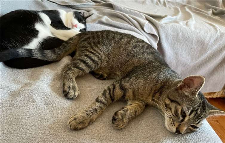 Leon und Lisa. Foto: privat