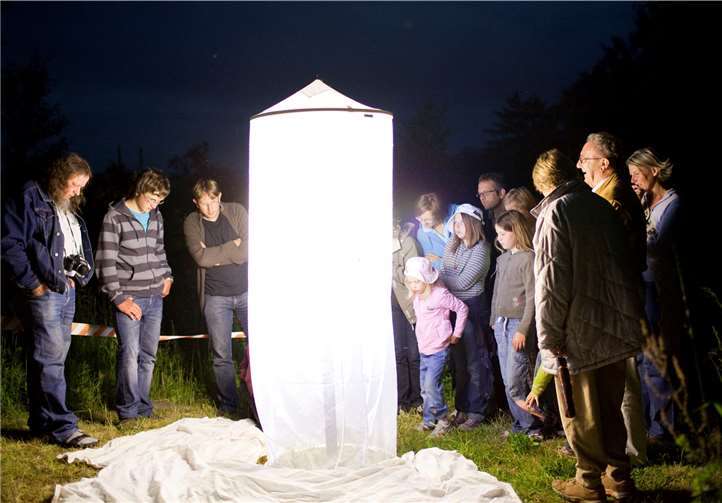 Leuchtabend am Stux. Frank Homann