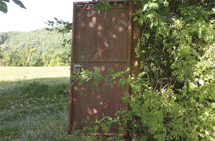 Leutesdorf. „Wer geht wohl durch diese Tür und was ist dahinter verborgen?“, fragte sich die Andernacherin Rita Klee, als sie in den Leutesdorfer Weinbergen unterwegs war. Frau Klee wurde als BLICKARAZZI tätig, indem sie dieses interessante Motiv im Bild festhielt und ihr Foto an BLICK aktuell sandte.Rita Klee