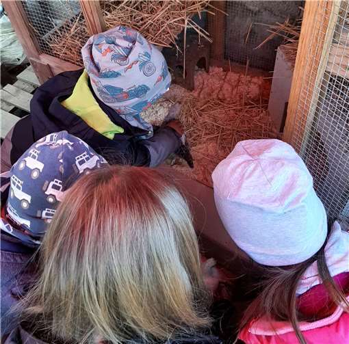 Liebevoll kümmern sich die Kinder um die Tiere.