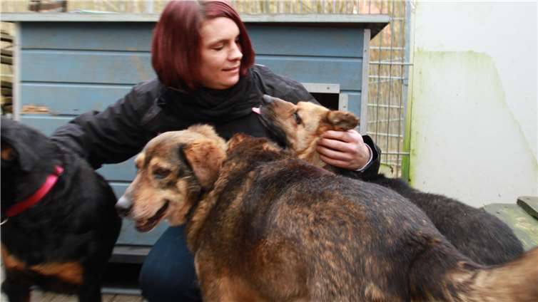 Liebevoll kümmern sich die Mitglieder von Glückshunde e. V. um ihre Tiere wie hier Barbara Hauffenmeyer-