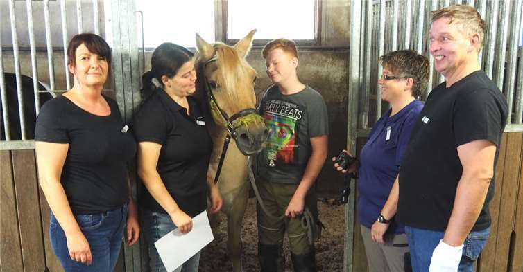 Liebevoll kümmern sich die Pferdefreunde in den Stallungen um die Tiere.