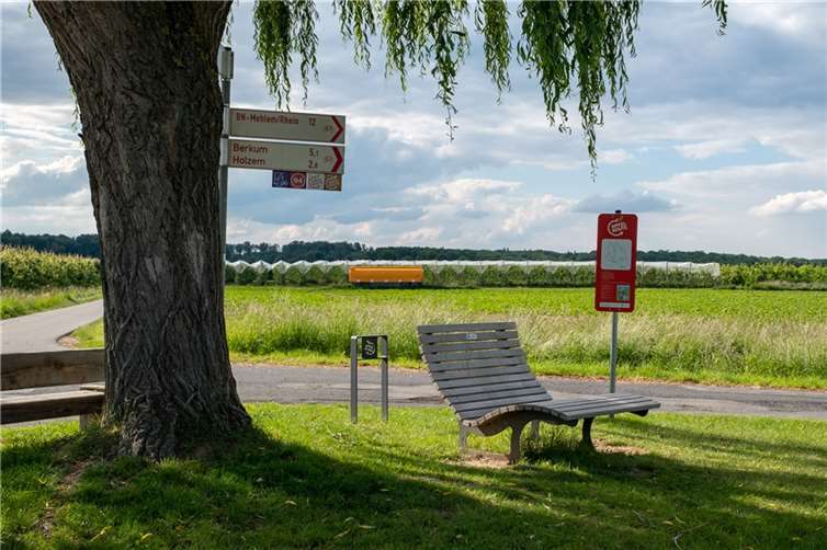 Liegebank unter der großen Weide zwischen Klein Villip und Adendorf.  Foto: RVT/ml
