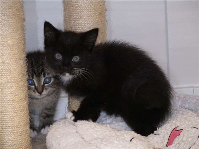 Lilah. Fotos: privat