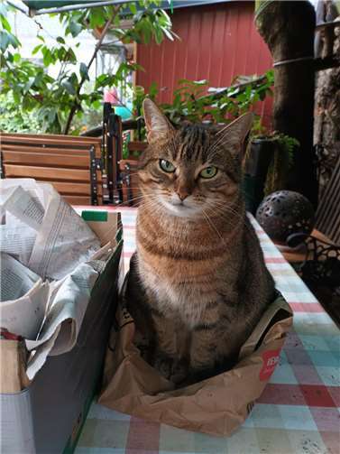 Lilli. Fotos: privat