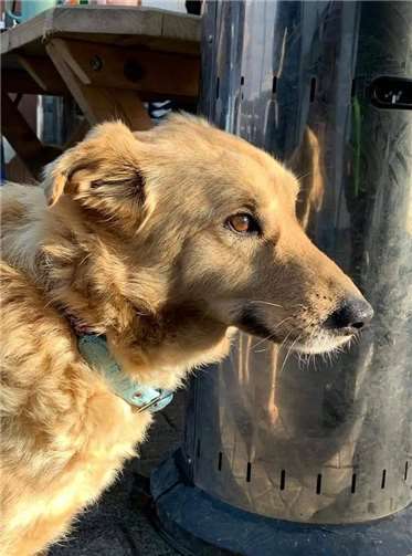 Lilly ist noch etwas scheu.