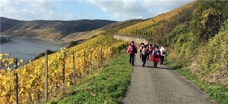 Links unten fließt der Rhein.